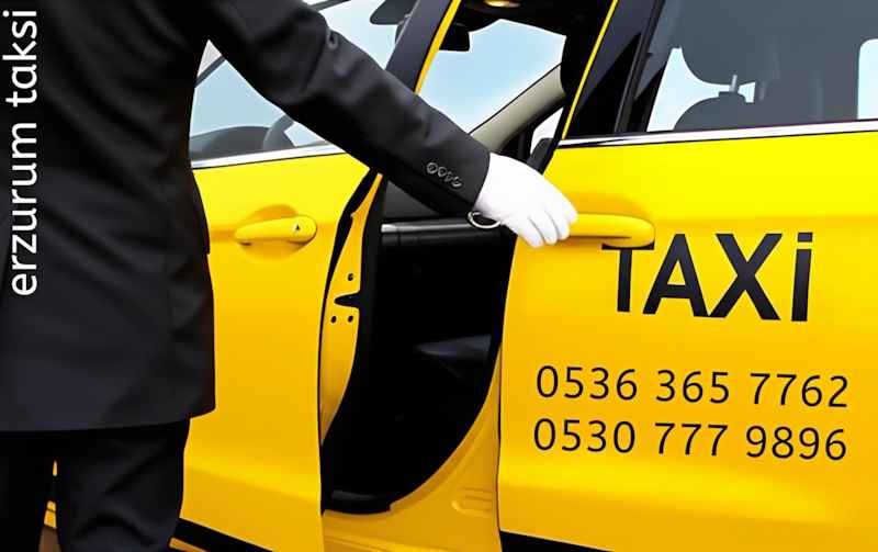 Deneyimli Uzun Yol Taksi Şoförü