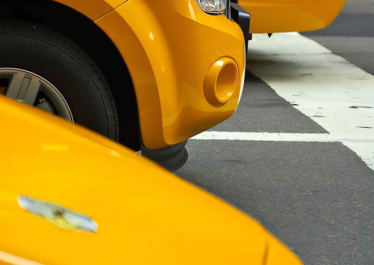 Erzurum Deneyimli Taksi Şoförü