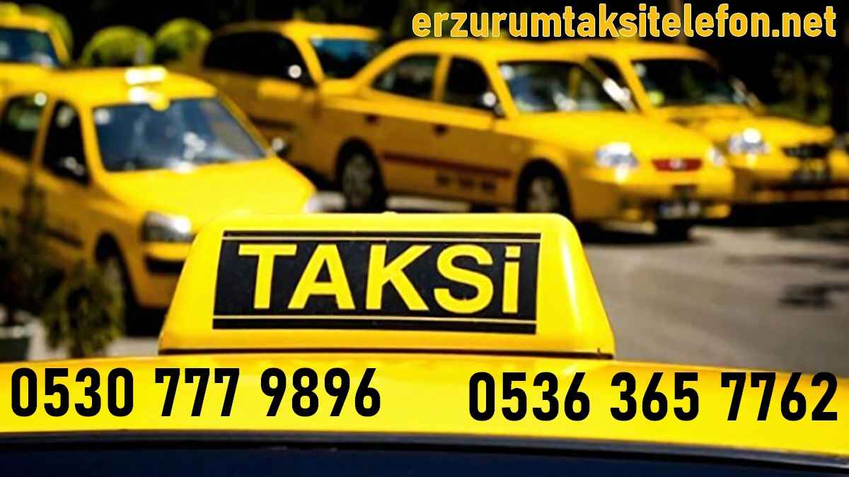 Erzurum Kayakyolu 7/24 Taksi Çağır