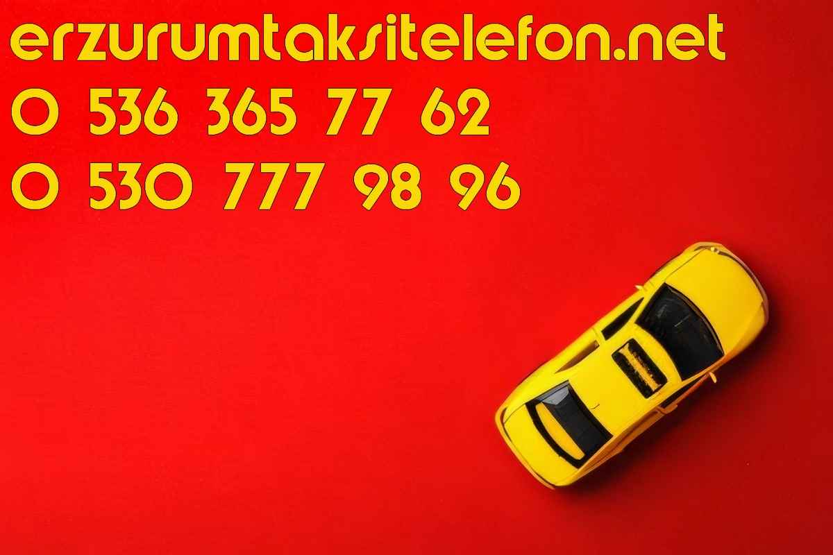 Erzurum Yunusemre'den Kayak Merkezine Taksi